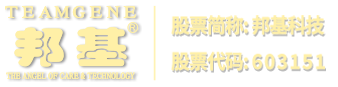 日照網(wǎng)絡(luò)公司